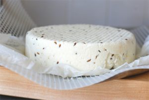 طرز تهیه پنیر زیره خانگی 