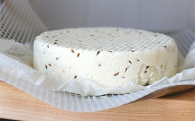 طرز تهیه پنیر زیره خانگی